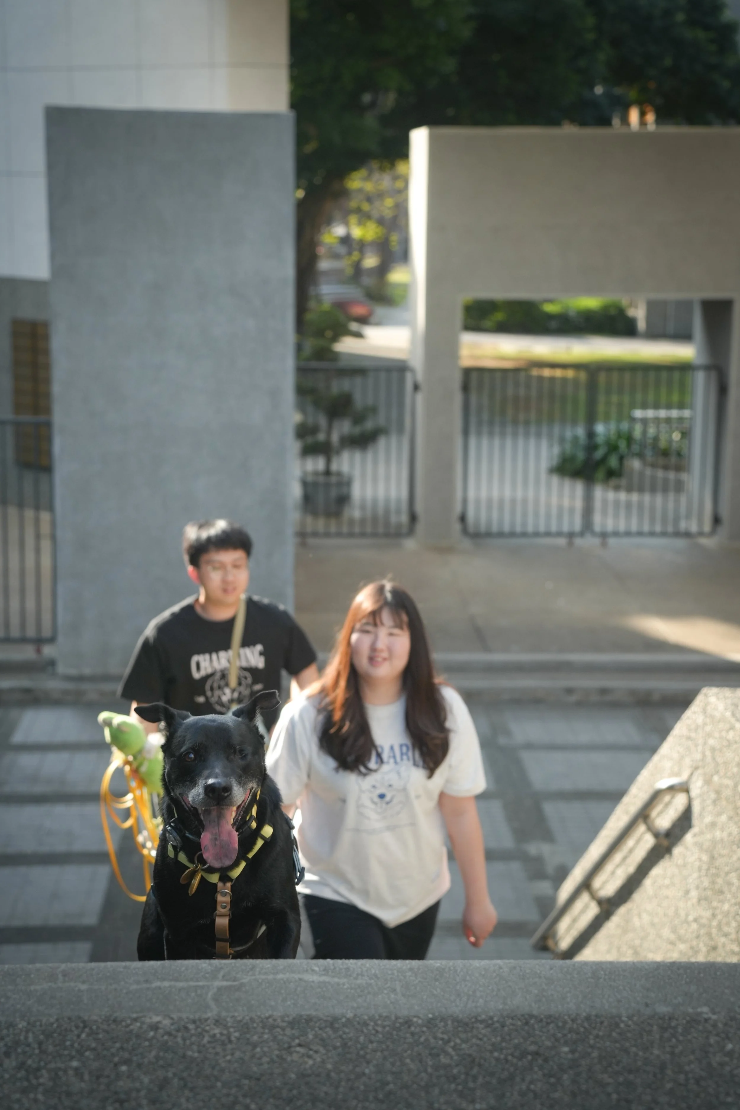DSC05989.JPG