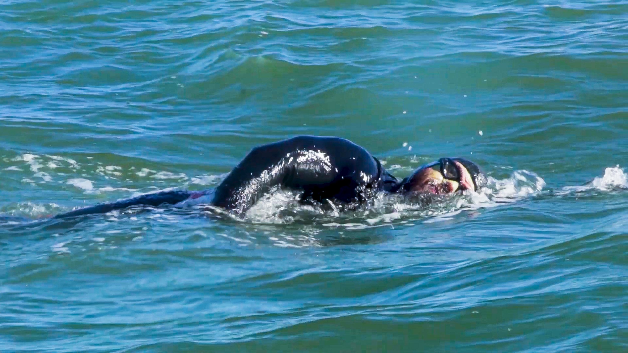 THE GREAT BRITISH SWIM