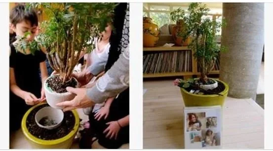 How our family pet became a tree after he died