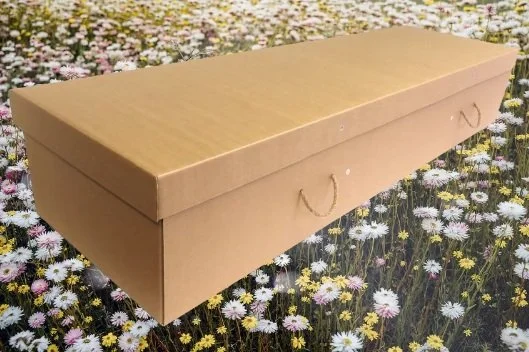Daisybox plain craft.jpg
