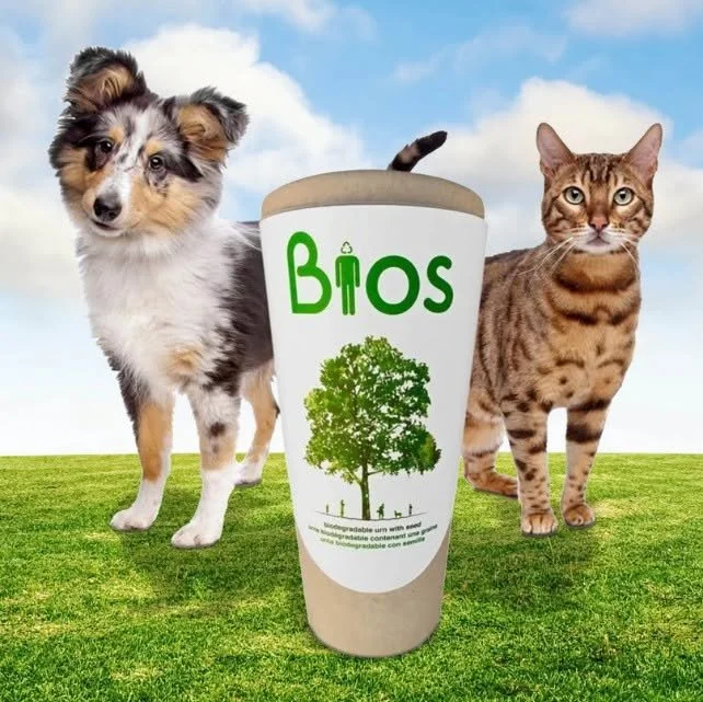 The Bios Urn