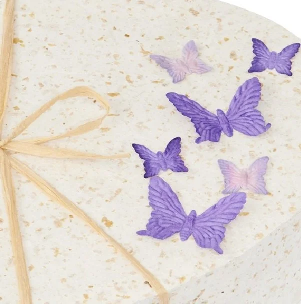 Butterflies close up.jpg