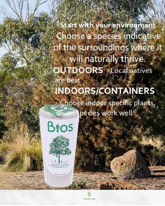 Planting a seedling Bios 2.jpg