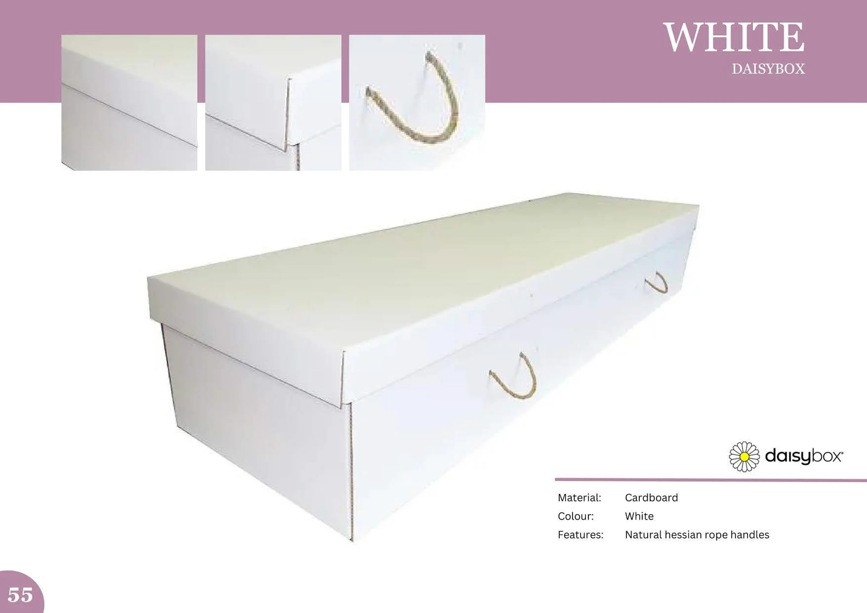 white Daisybox cardboard coffin.jpg