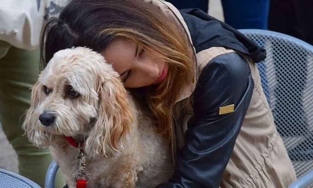 Losing a beloved pet