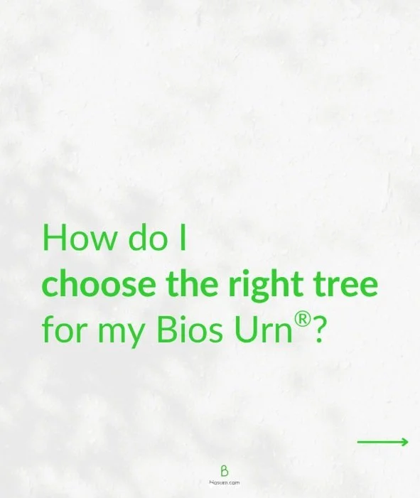 Planting a seedling Bios  1.jpg