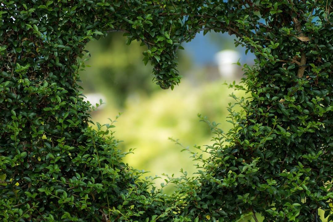 What to do with Cremains