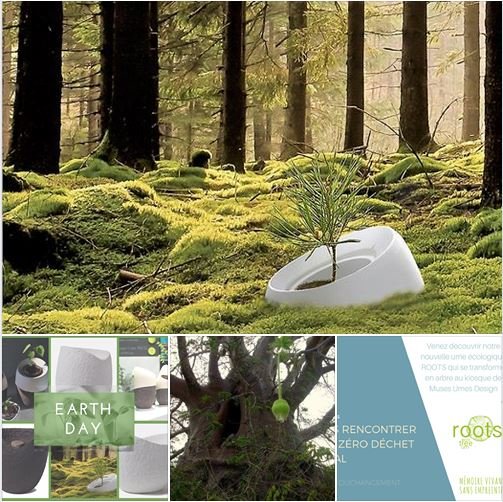 Roots eco-tree Urn