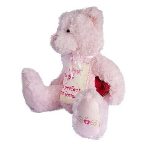 pinkbear with red tin heart.jpeg
