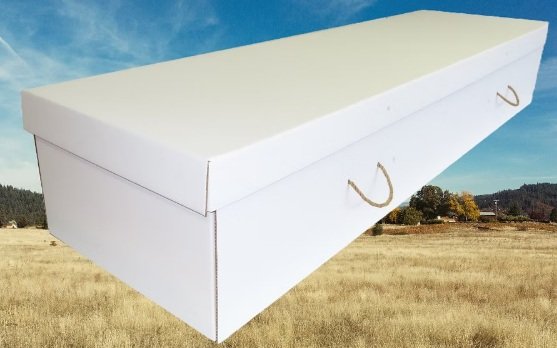 Daisybox Cardboard Caskets