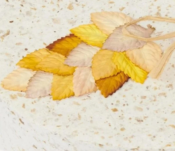 Autumn leaves close up.jpg