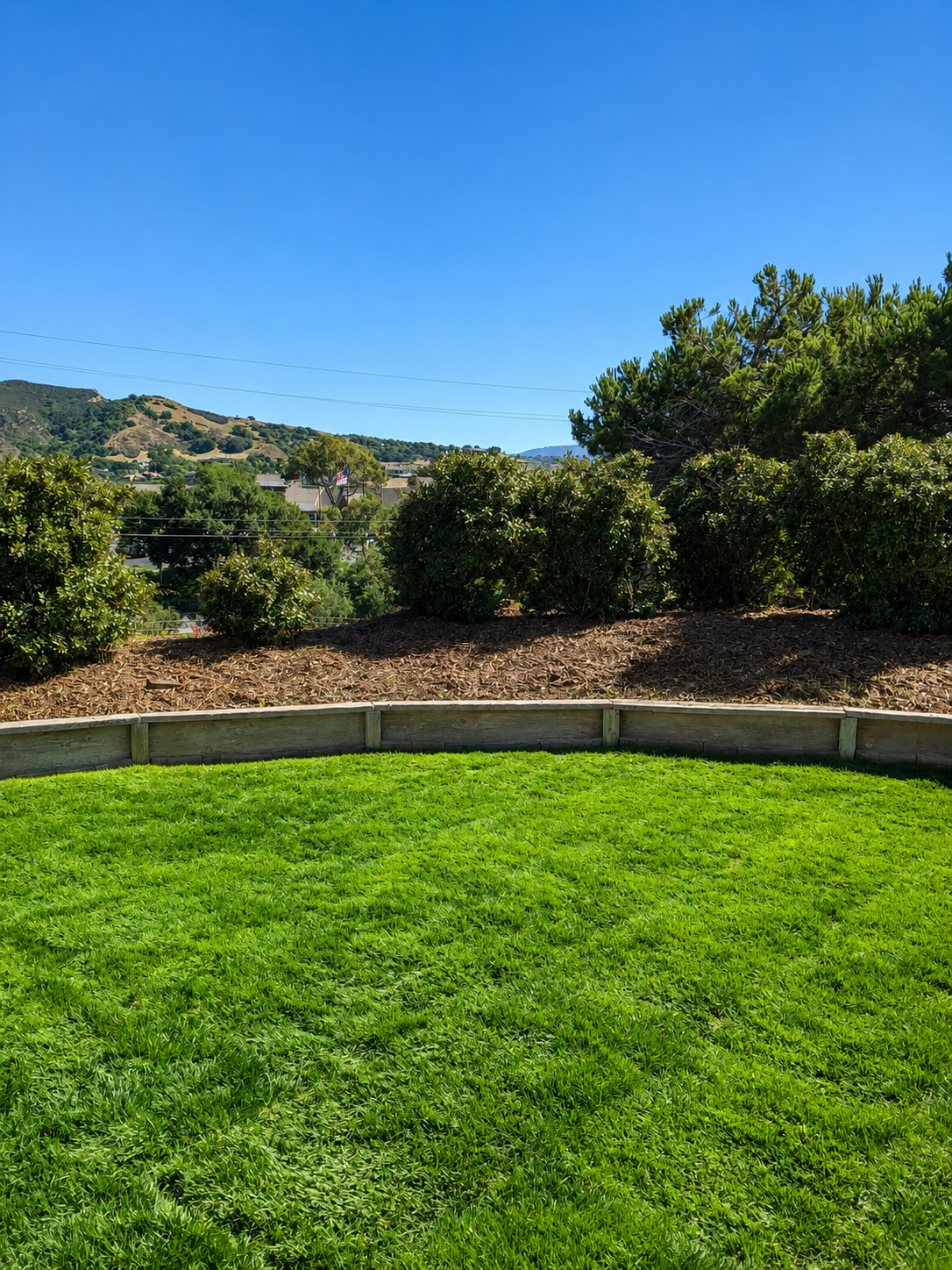 Bright green grass lawn bordered by a low wooden fence, with bushes and trees behind it, under a clear blue sky.