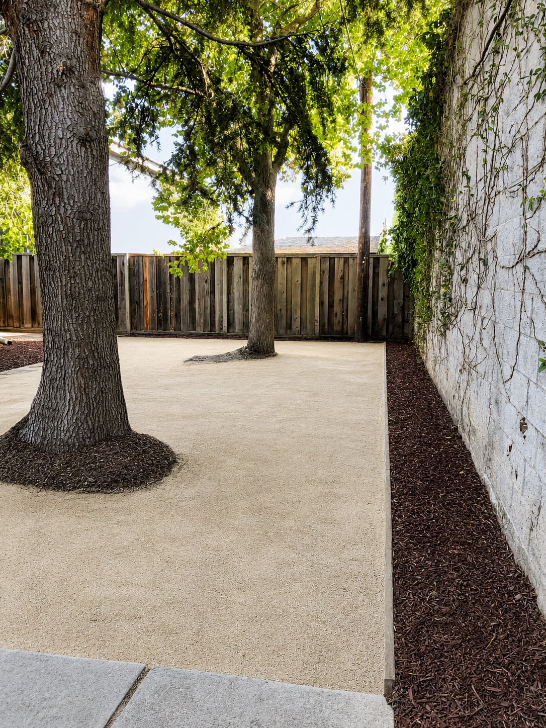A small outdoor patio area with two trees growing in the space, surrounded by a wooden fence in the background and a white brick wall on the right side, with mulch beds on each side of the patio.
