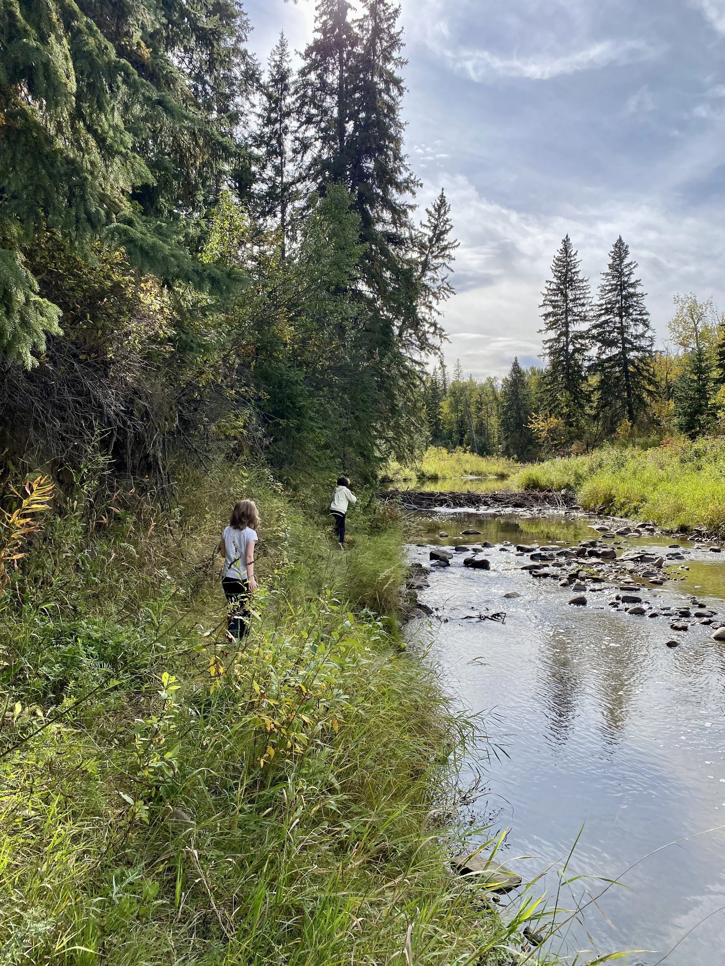 Two children walking along a grassy riverbank surrounded by tall evergreen trees under a partly cloudy sky.