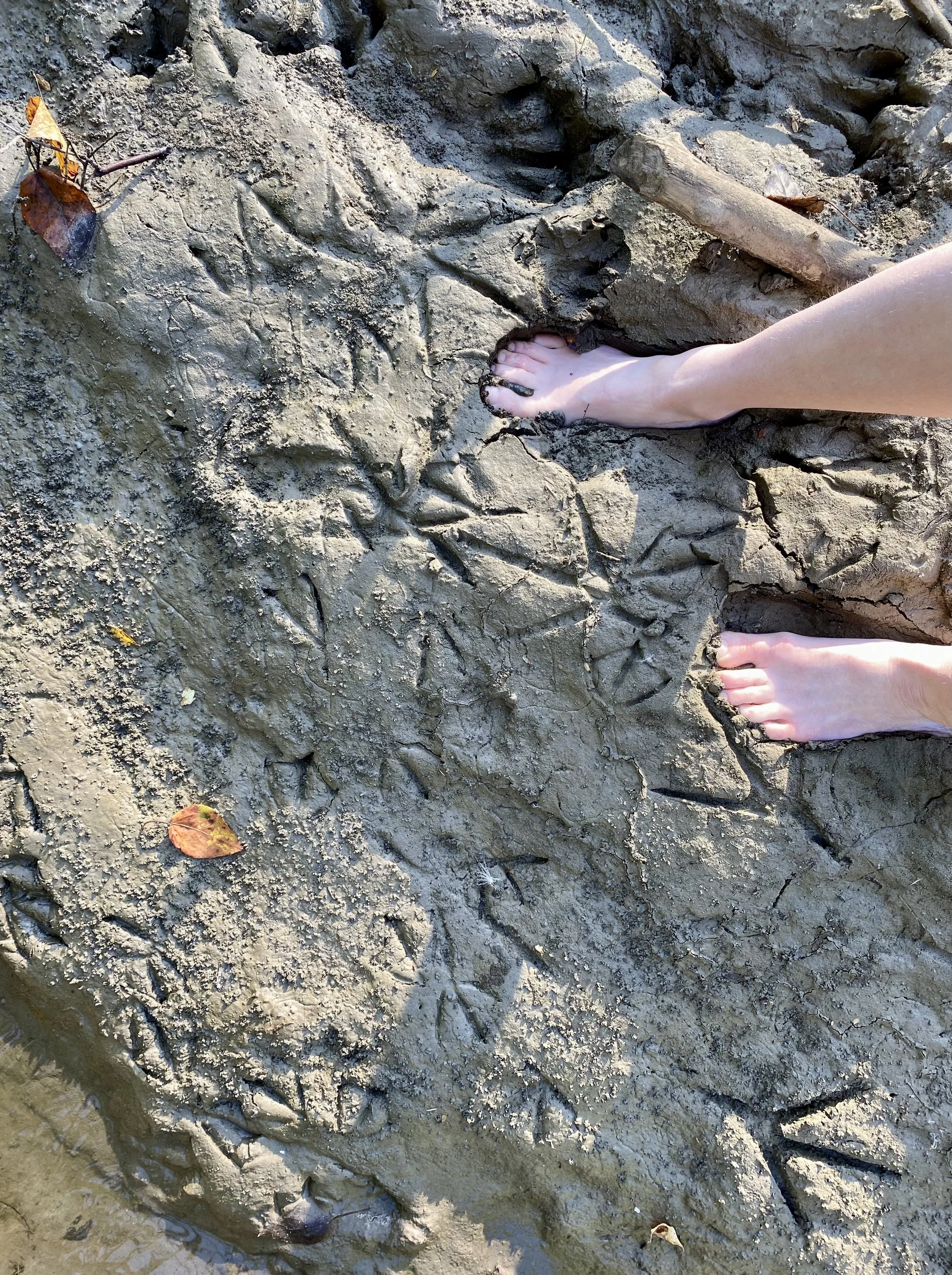 Two bare feet standing on wet, cracked mud with small fallen leaves scattered around.