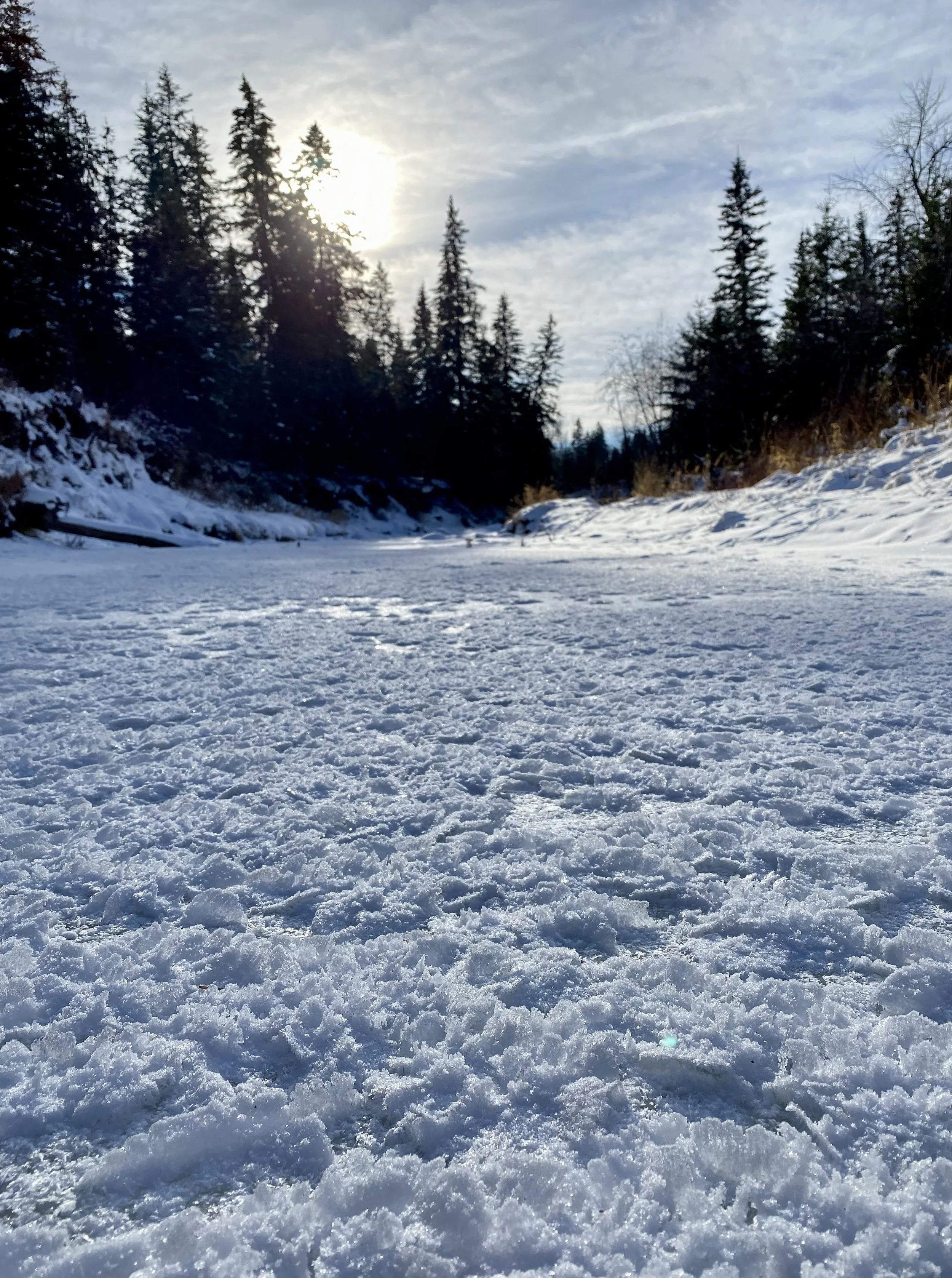 Snow-covered landscape with a frozen stream or pond, surrounded by tall evergreen trees, with the sun partially obscured by clouds in the sky.
