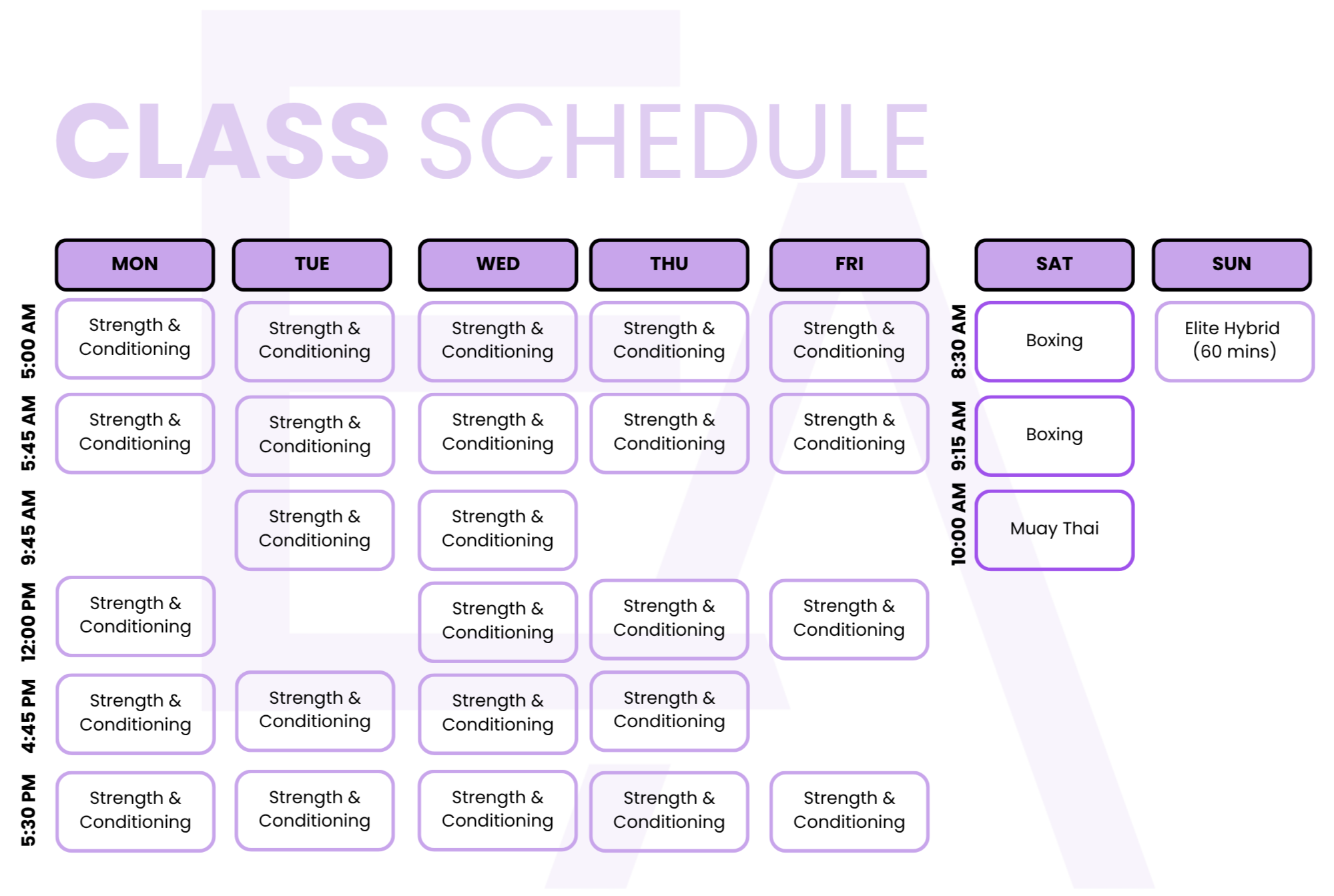 Weekly class schedule with days of the week and class times, including strength and conditioning, boxing, Muay Thai, and hybrid classes, organized in a grid with purple borders and text.