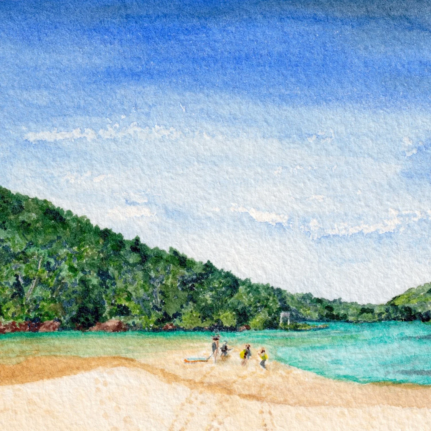 Summers at the Entrance