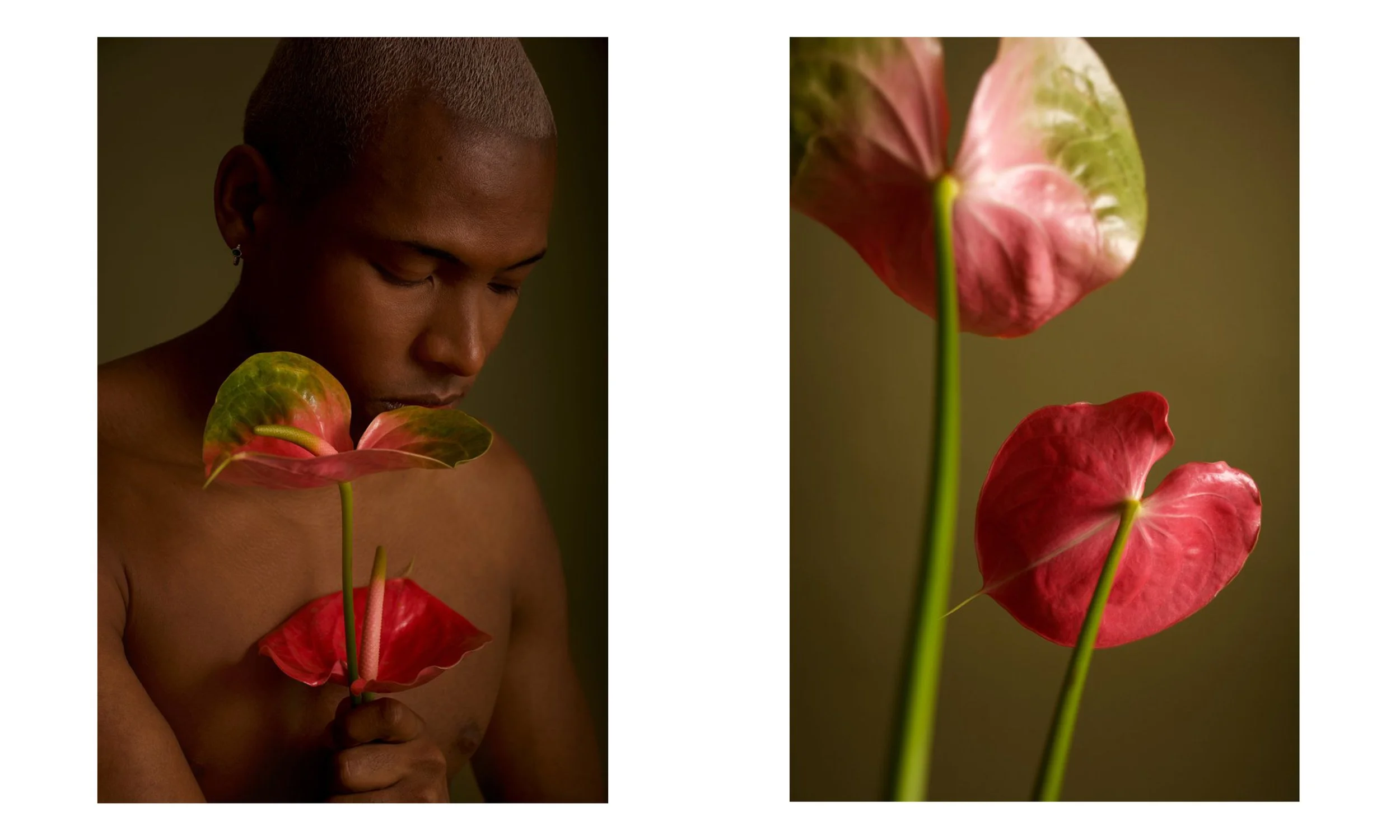 Creative Direction