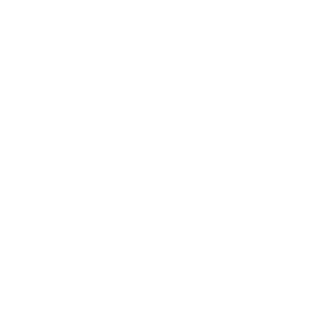 Outline of a digital camera