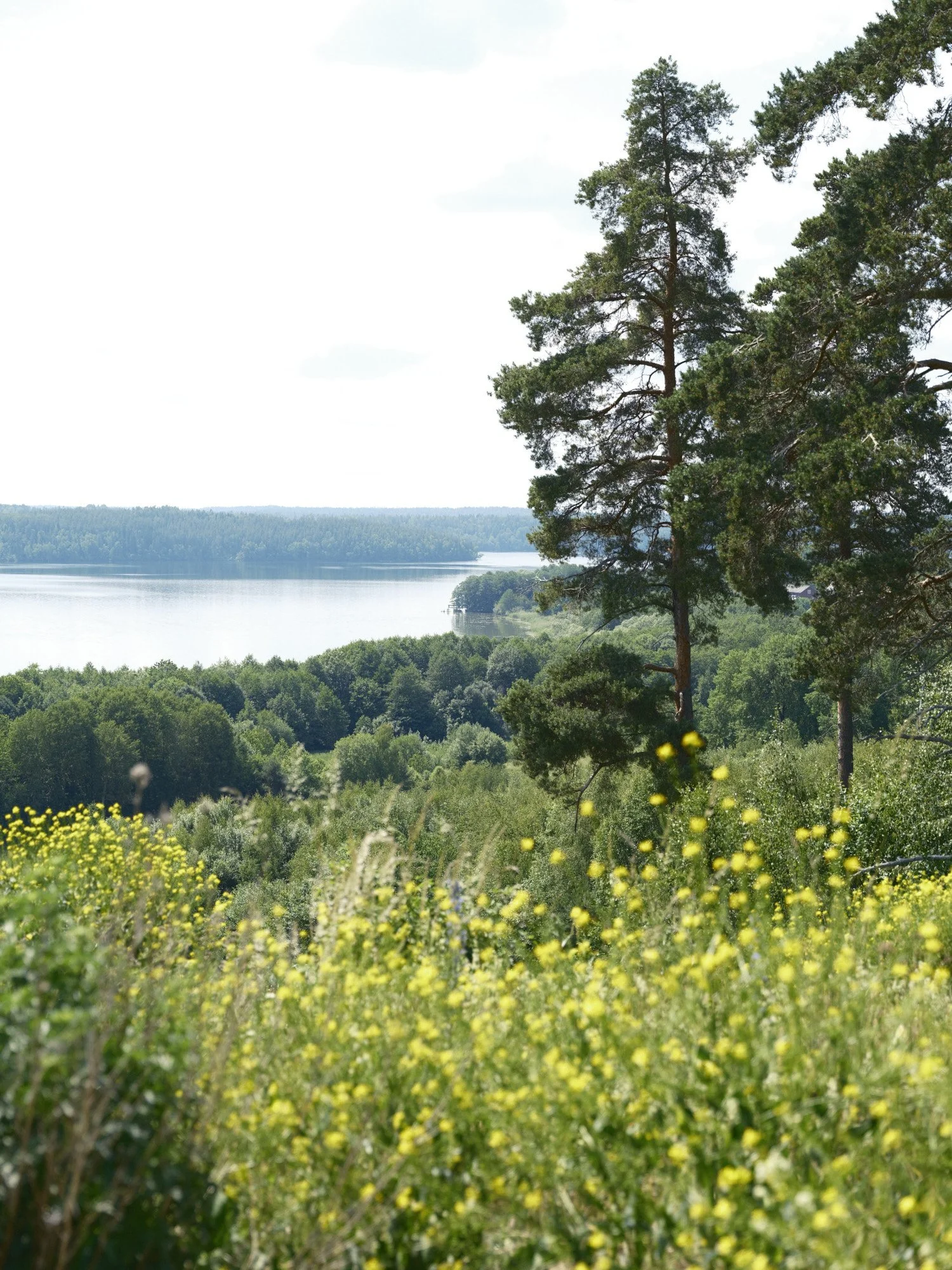Granndialog 2 - Välkommen till workshop!