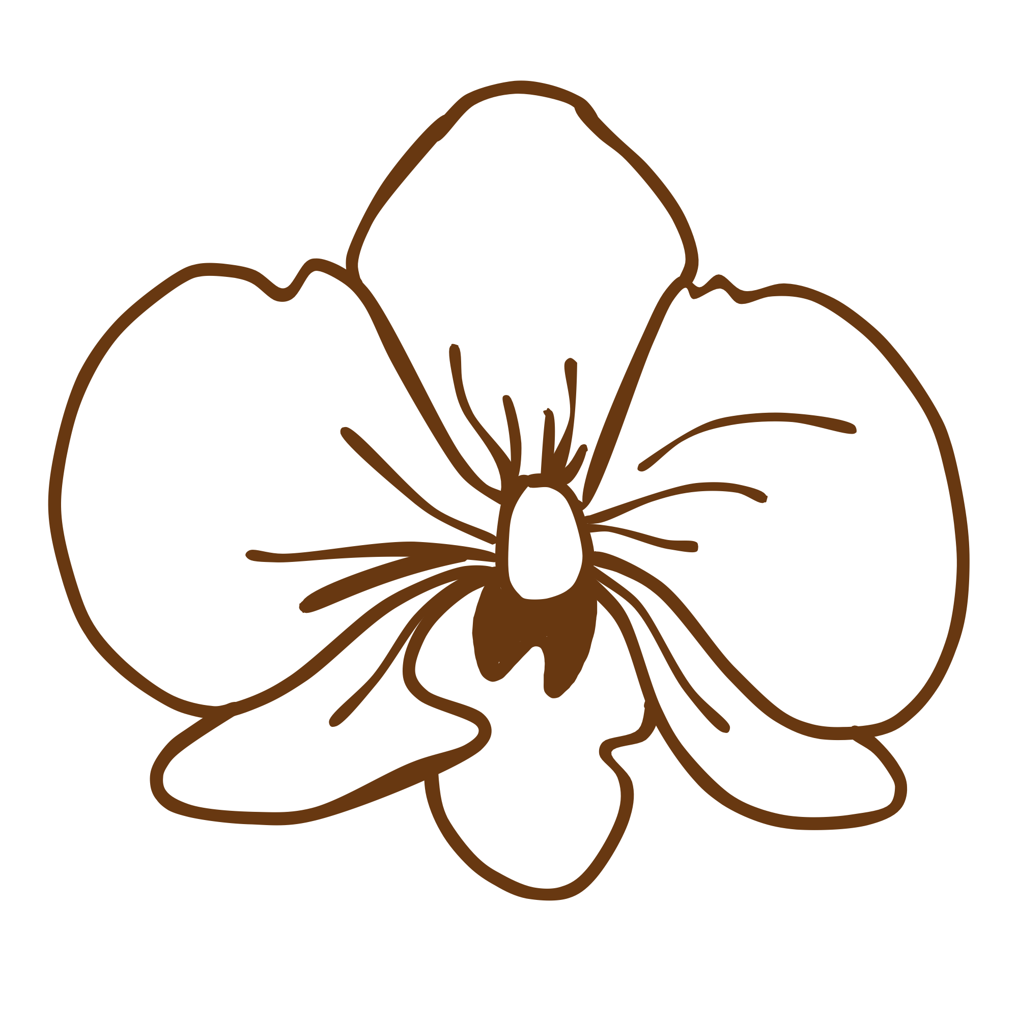 A line drawing of an orchid flower.