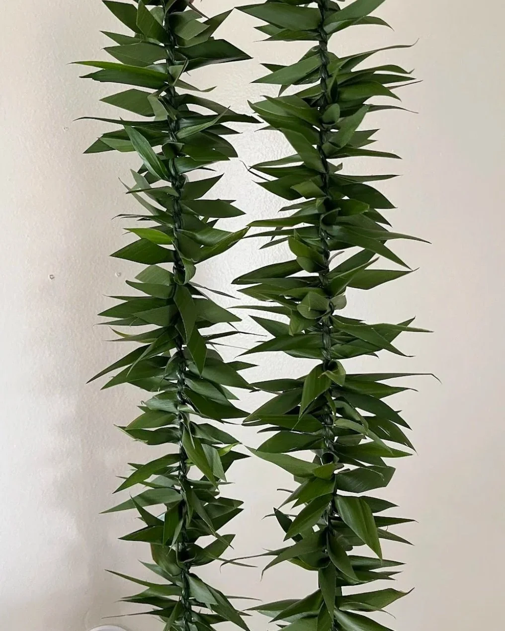 A close-up of two strands of green artificial leaves hanging vertically against a plain light background.