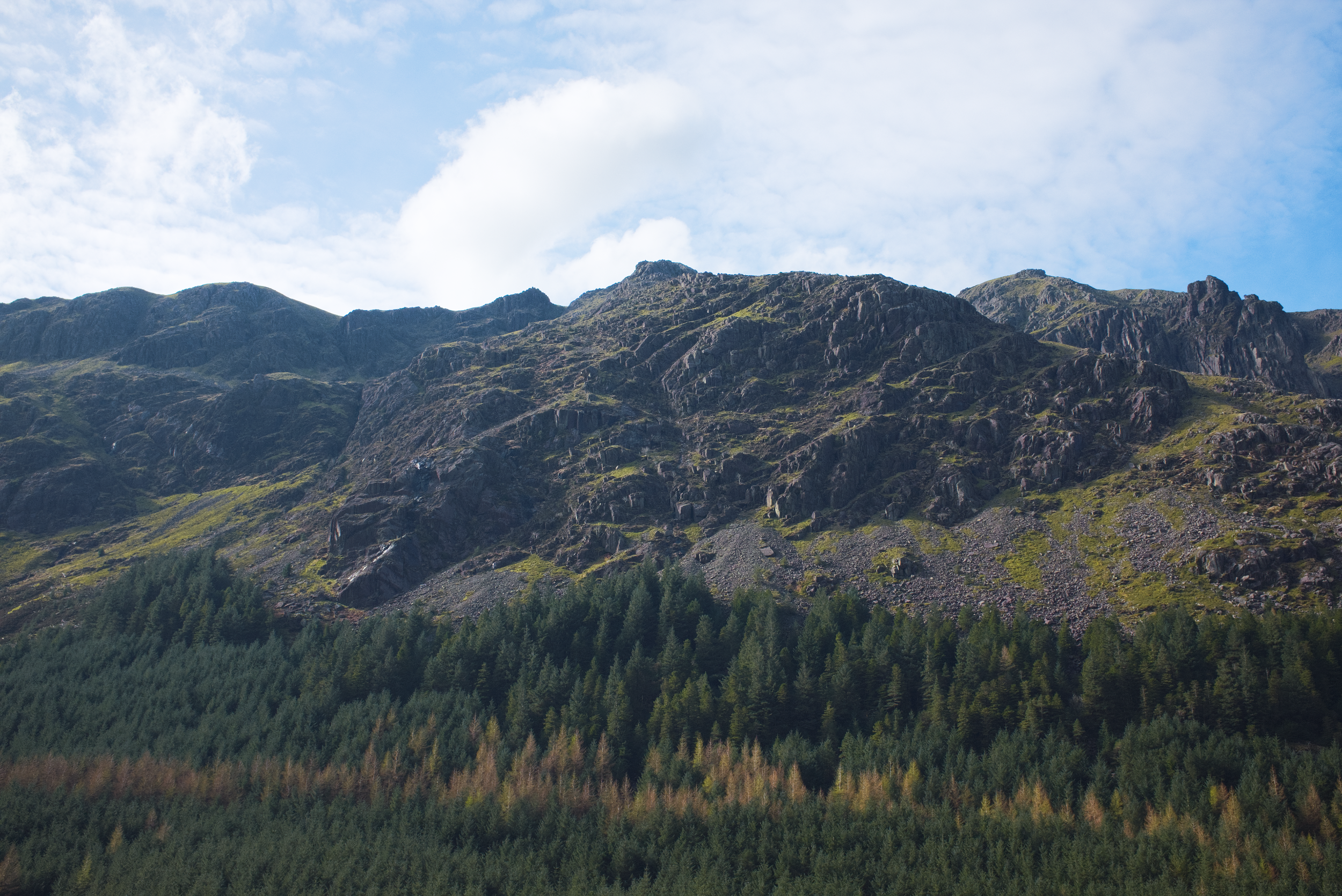 Circling Wild Ennerdale