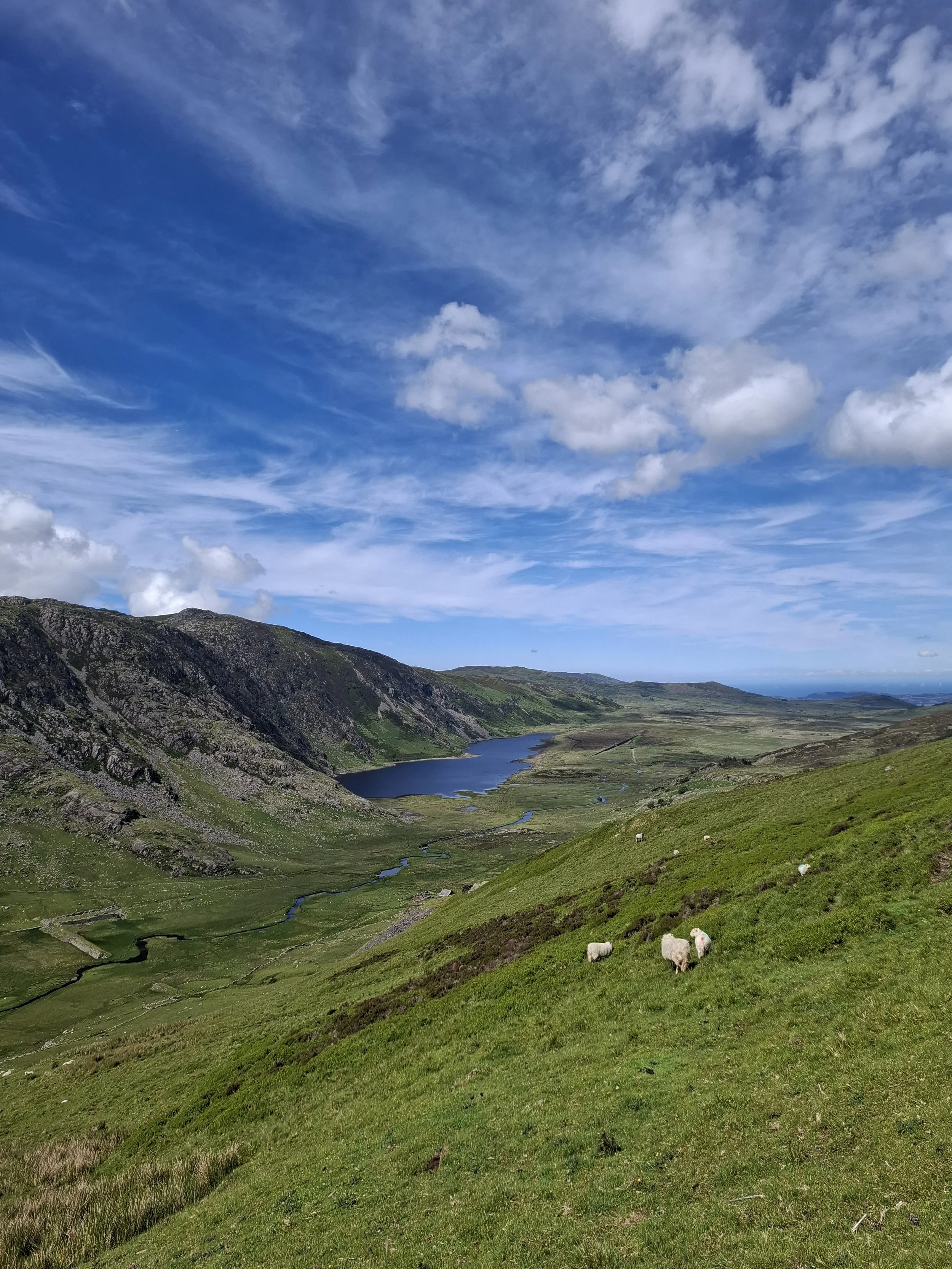 A scenic landscape of green rolling hills with a small river running through the valley, mountains in the background, sheep grazing on the hillside, and a partly cloudy sky above.
