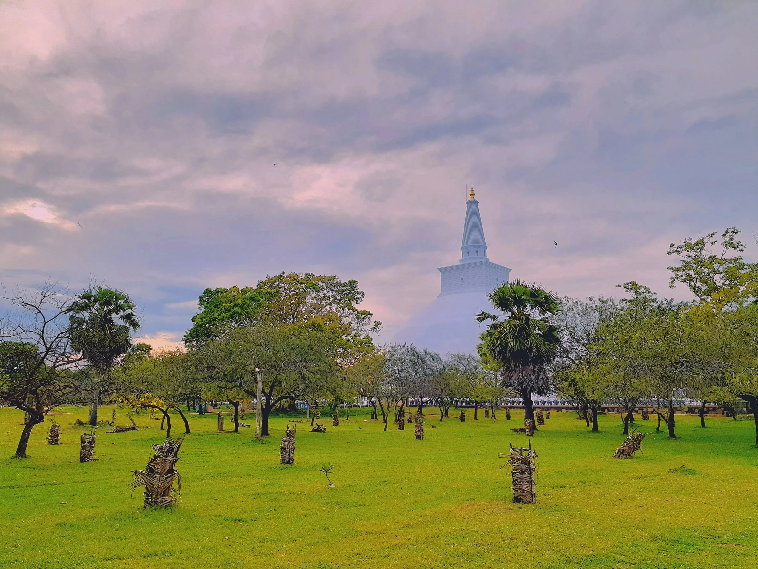 THE MERCHANT PRINCES OF THE INDIAN OCEAN: