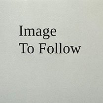 PT1782 - 4" Spade Sweep