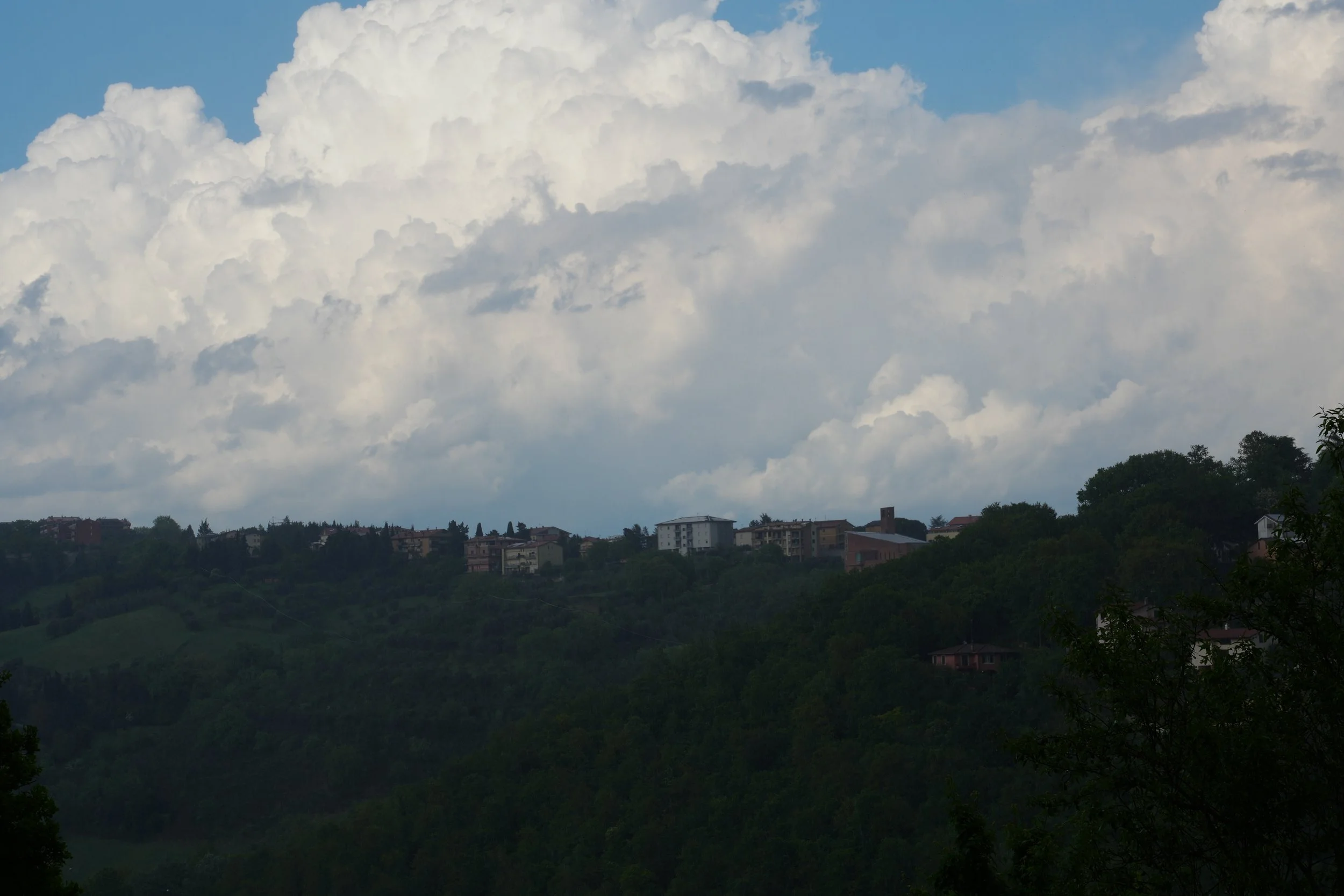 DSC05496.jpg