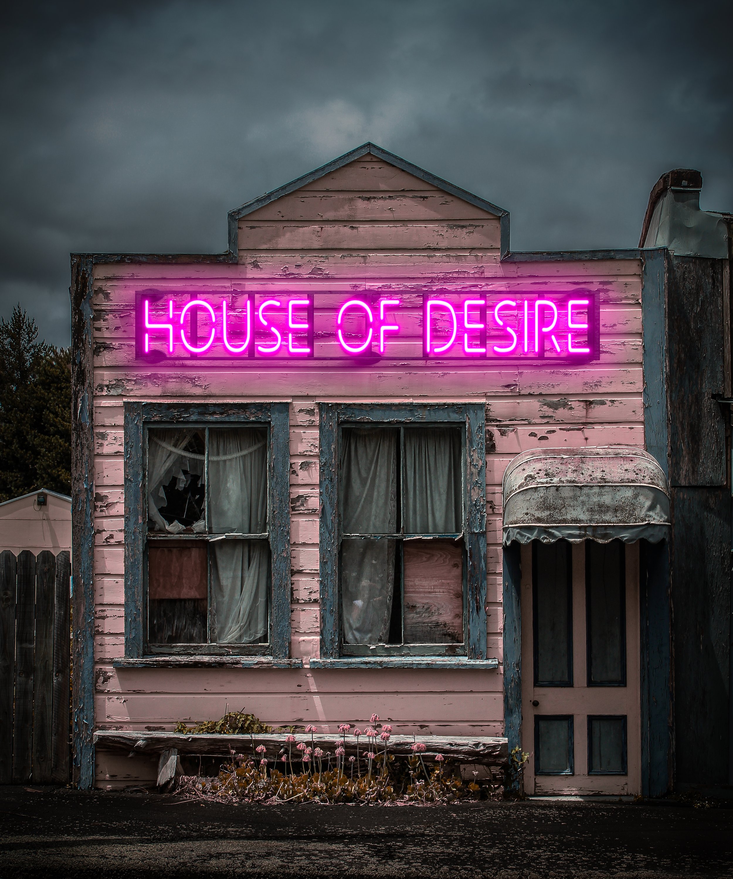 Houseofdesire_FINAL - Bronwyn Kelly.jpg