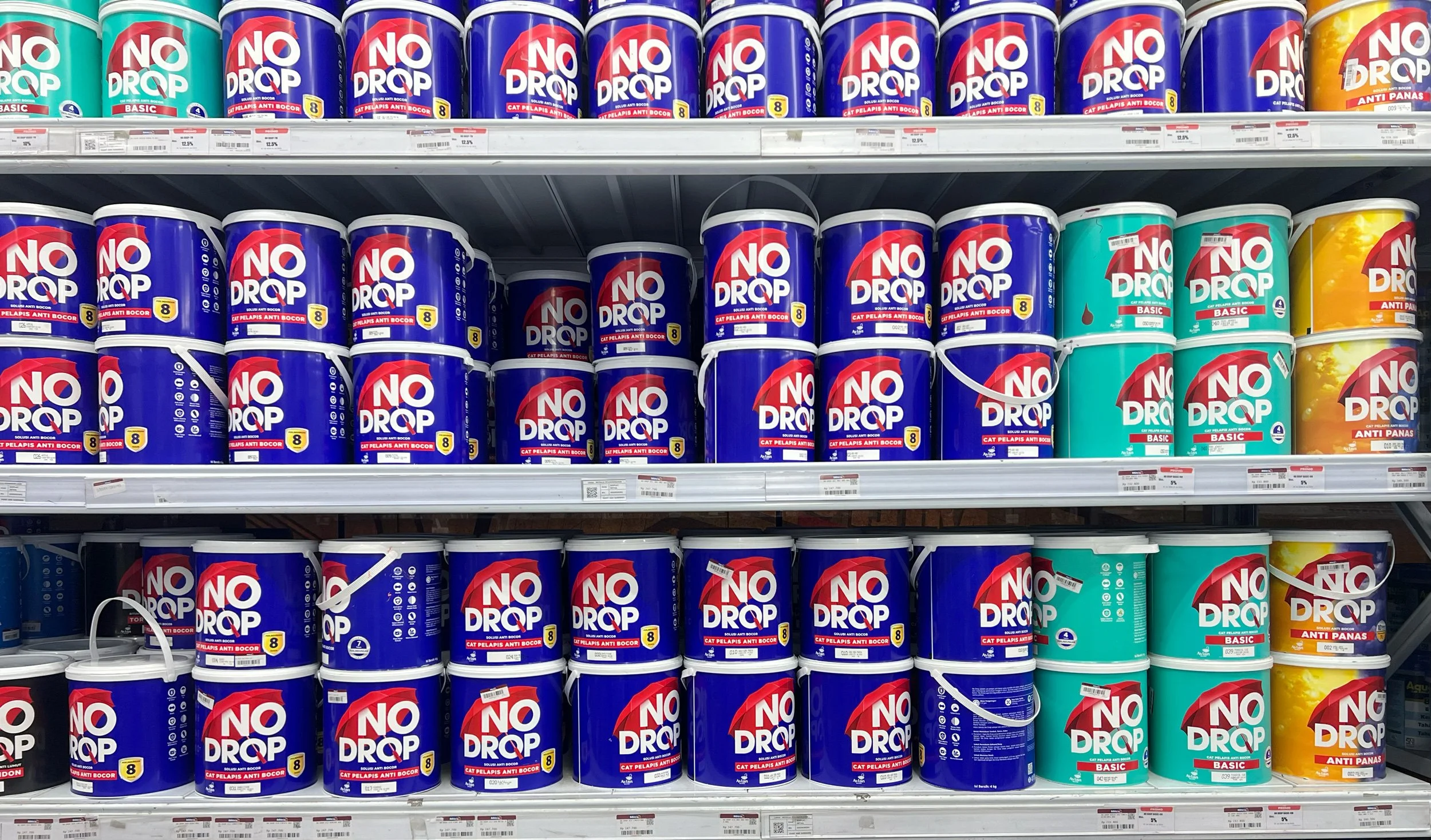 Avian-Shelf.jpg