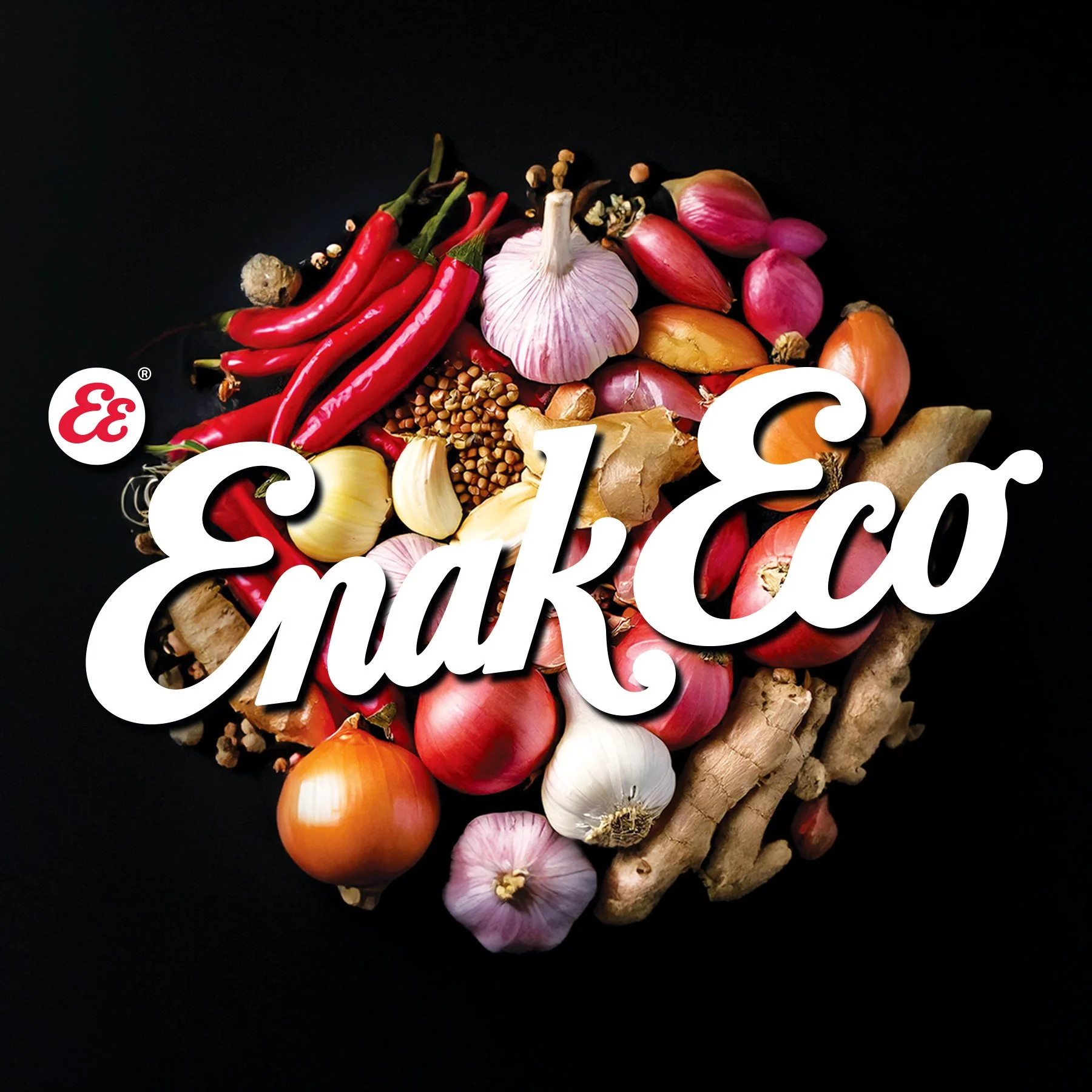 enak-eco-logo-intro.jpg