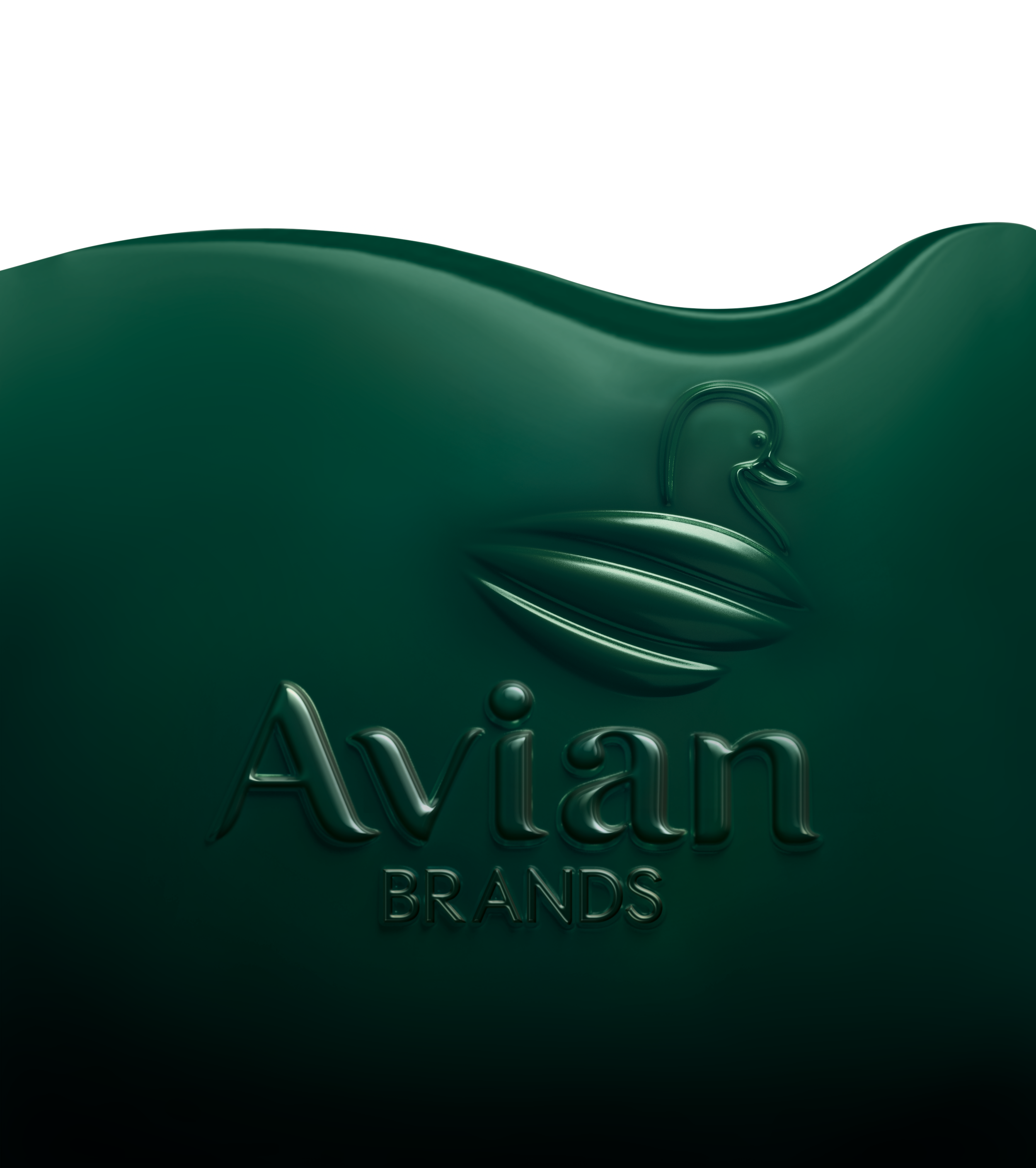 AVIAN_Cover_Artwork_Flat.png
