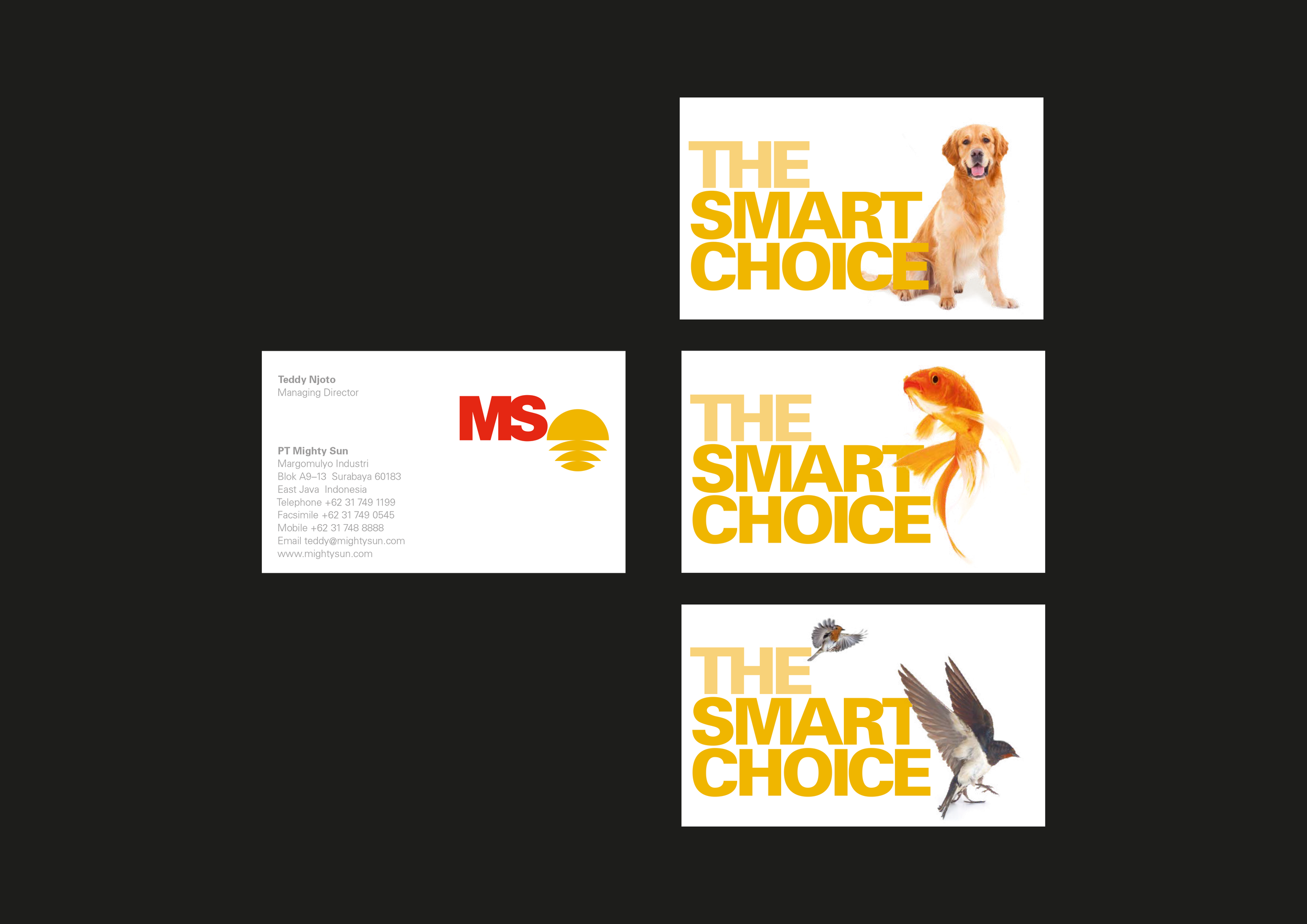 MS Business Card.png