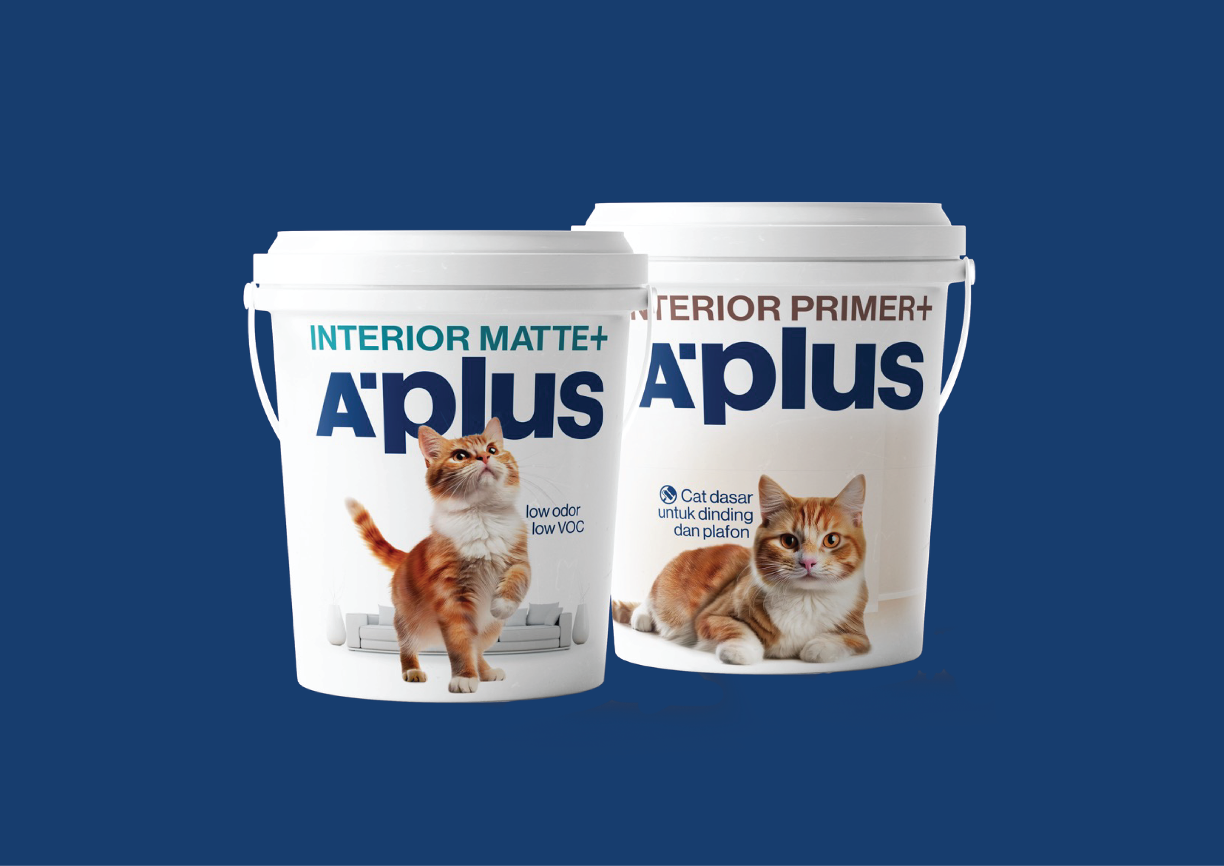 aplus cat.png
