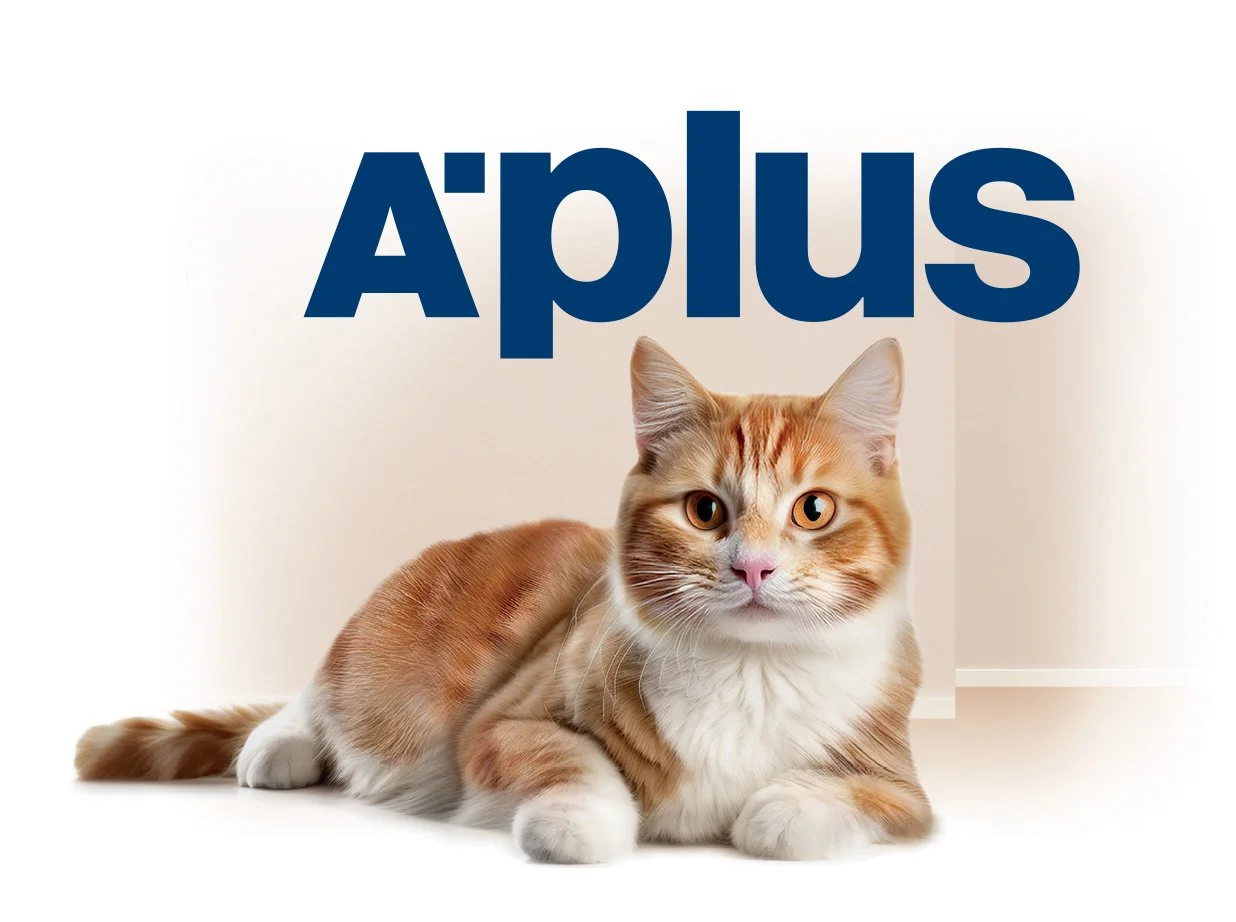 APLUS HOME2.jpg