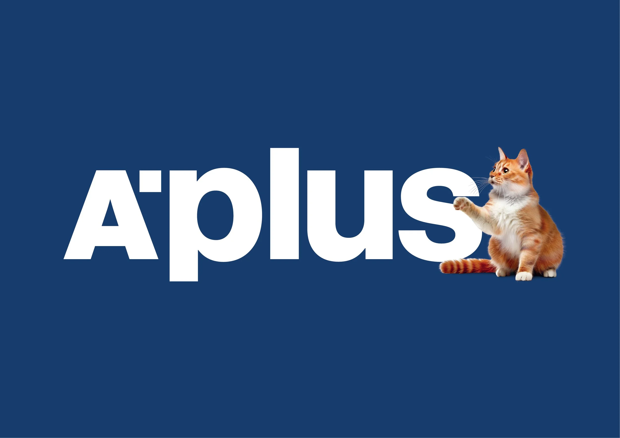 APLUS Instagram-02.jpg