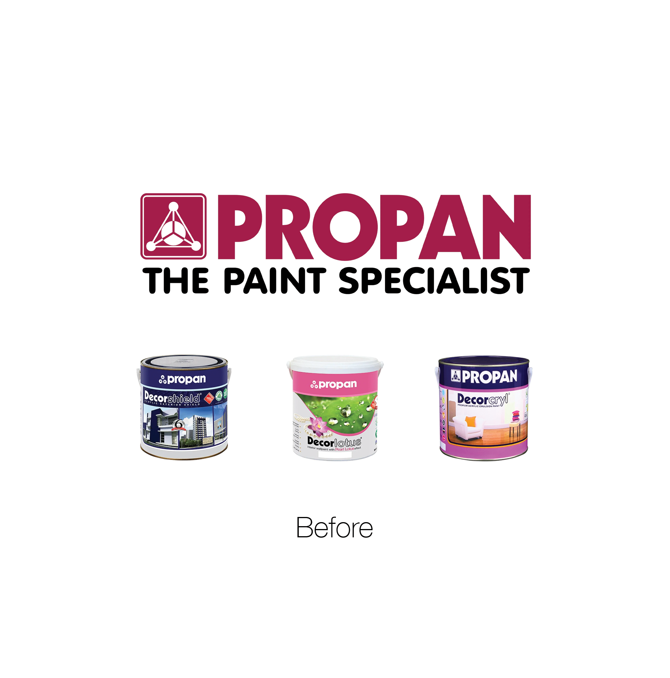 PROPAN BEFORE.png