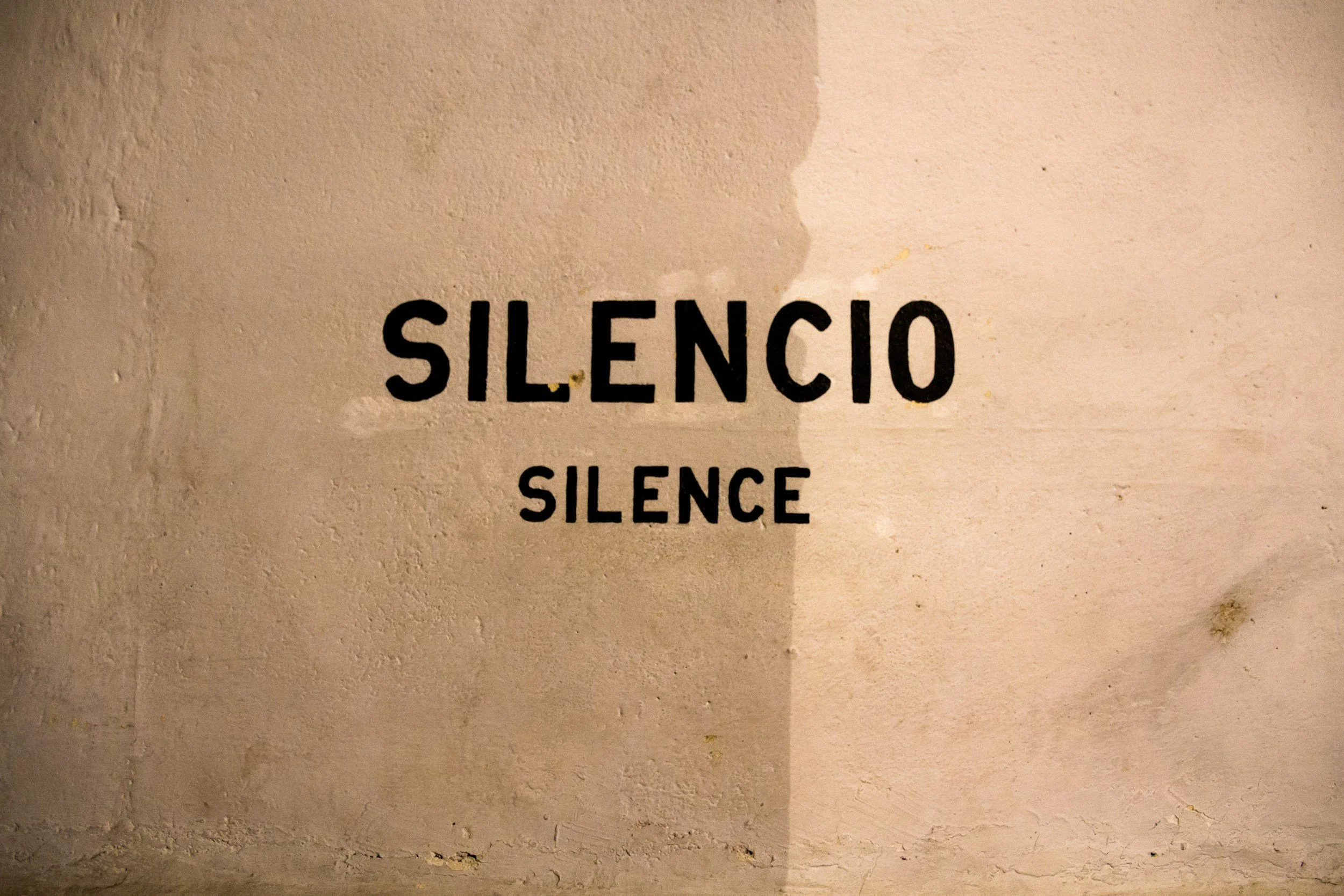 SILENCE THAT SCREAMS