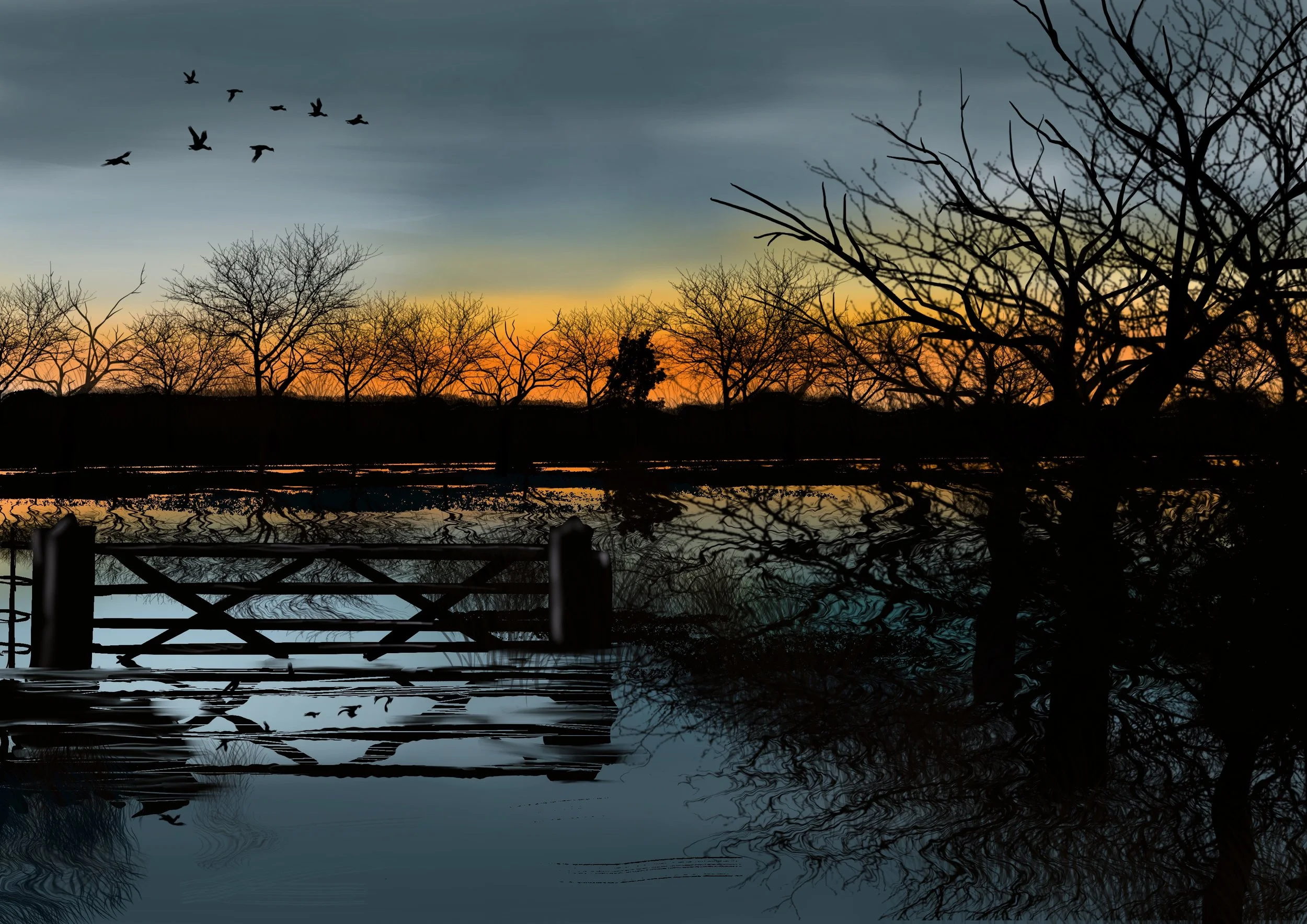 North Meadow in Flood