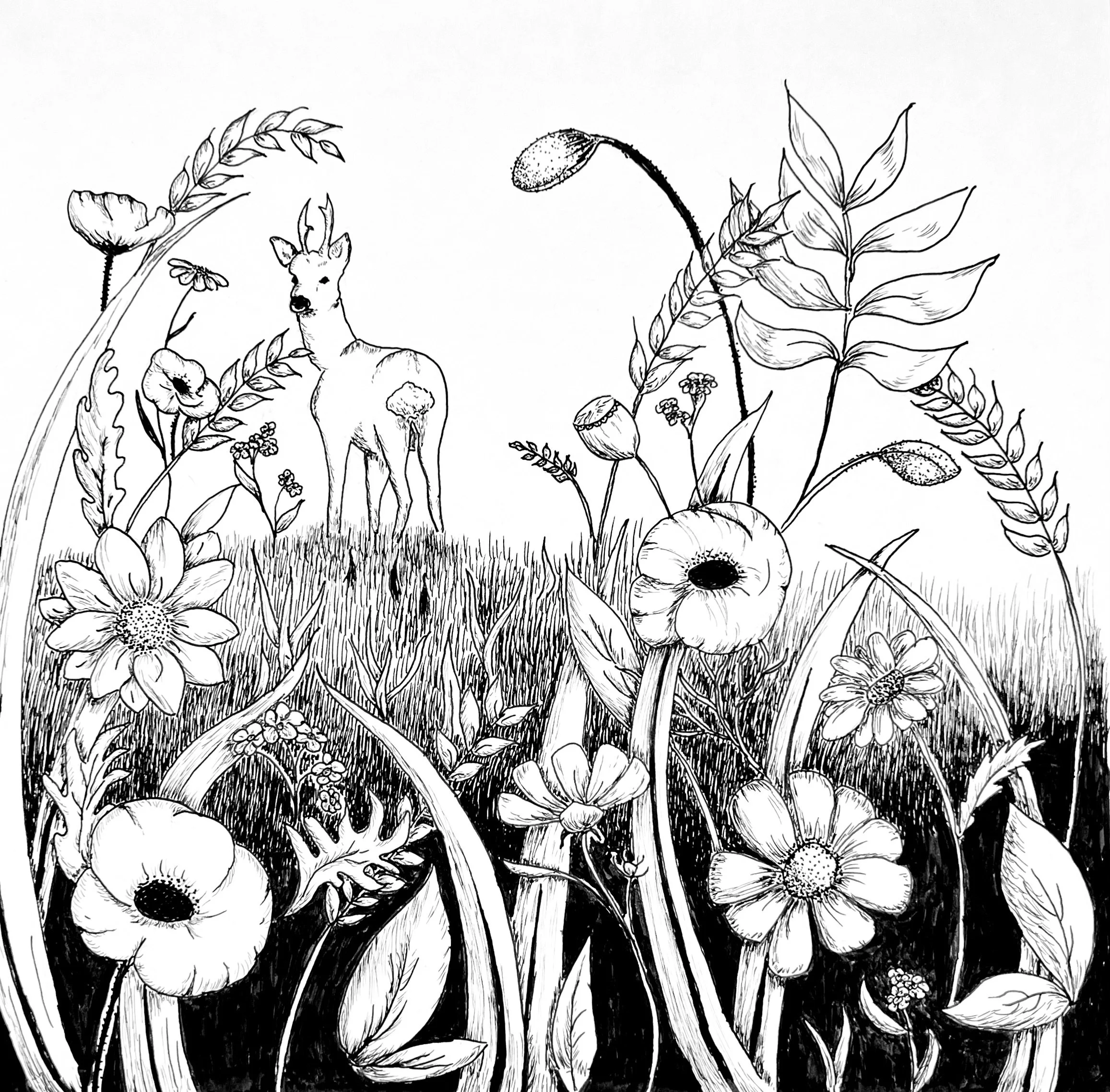A Fleeting Moment - Dip Pen and Ink