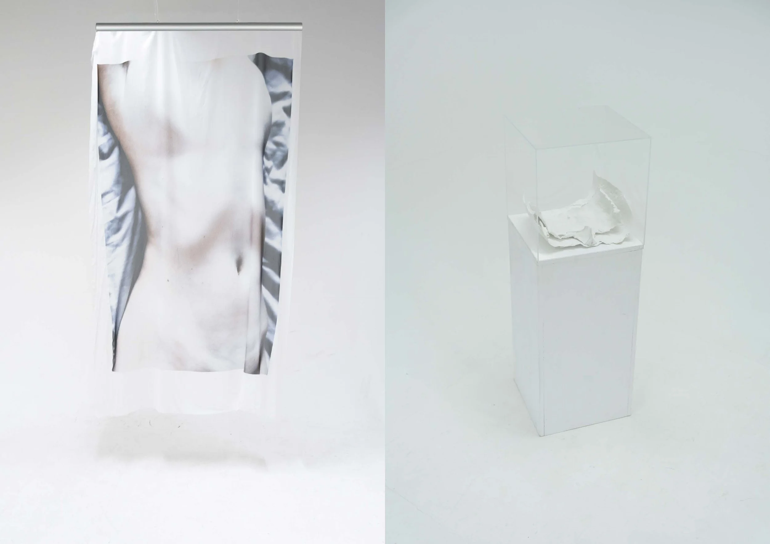 The female body; Object vs. Subject
Image I, cast of womb in glass box
Image II, 100x150 cm image printed on sheer fabric