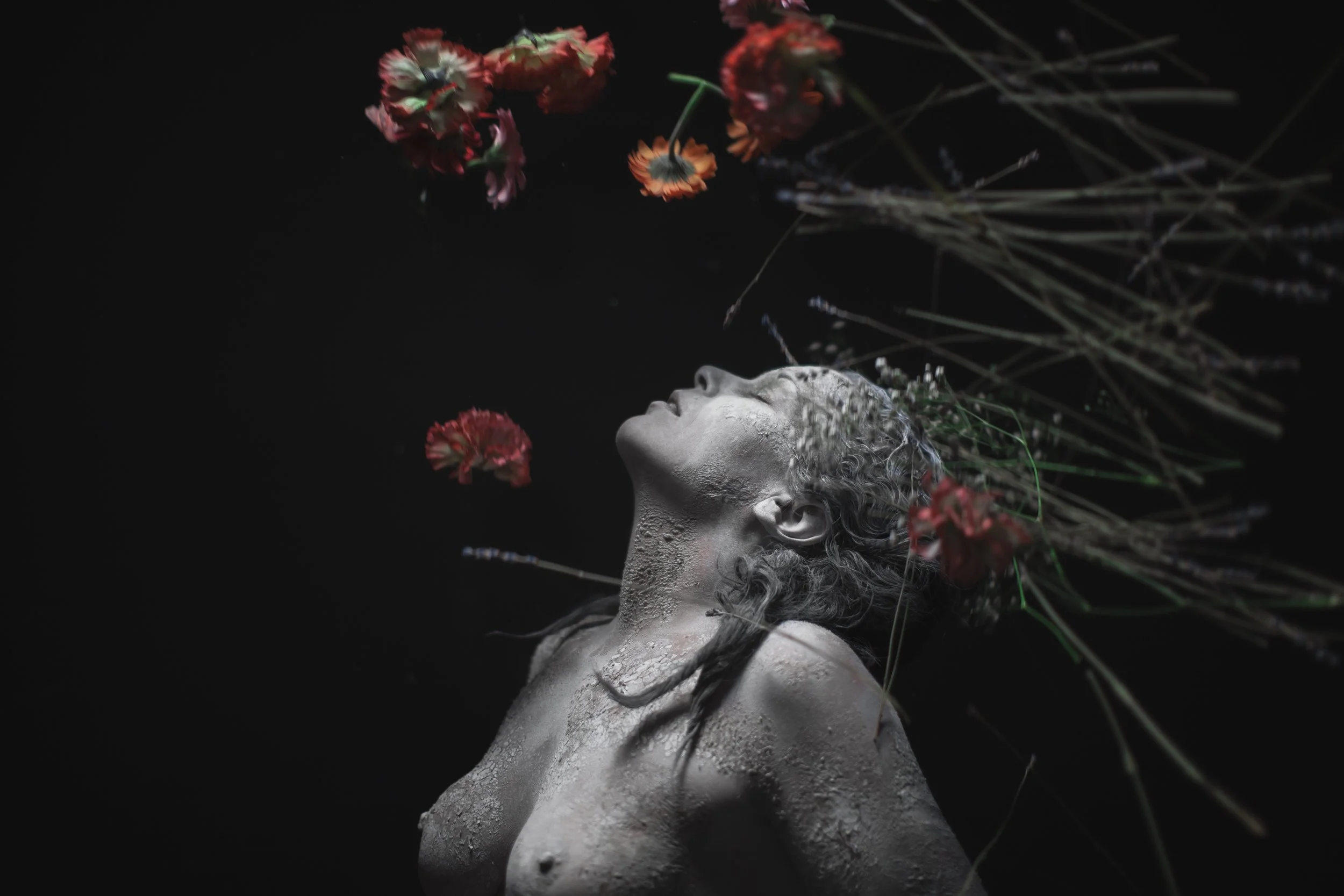 04_FLOWERFLY.jpg
