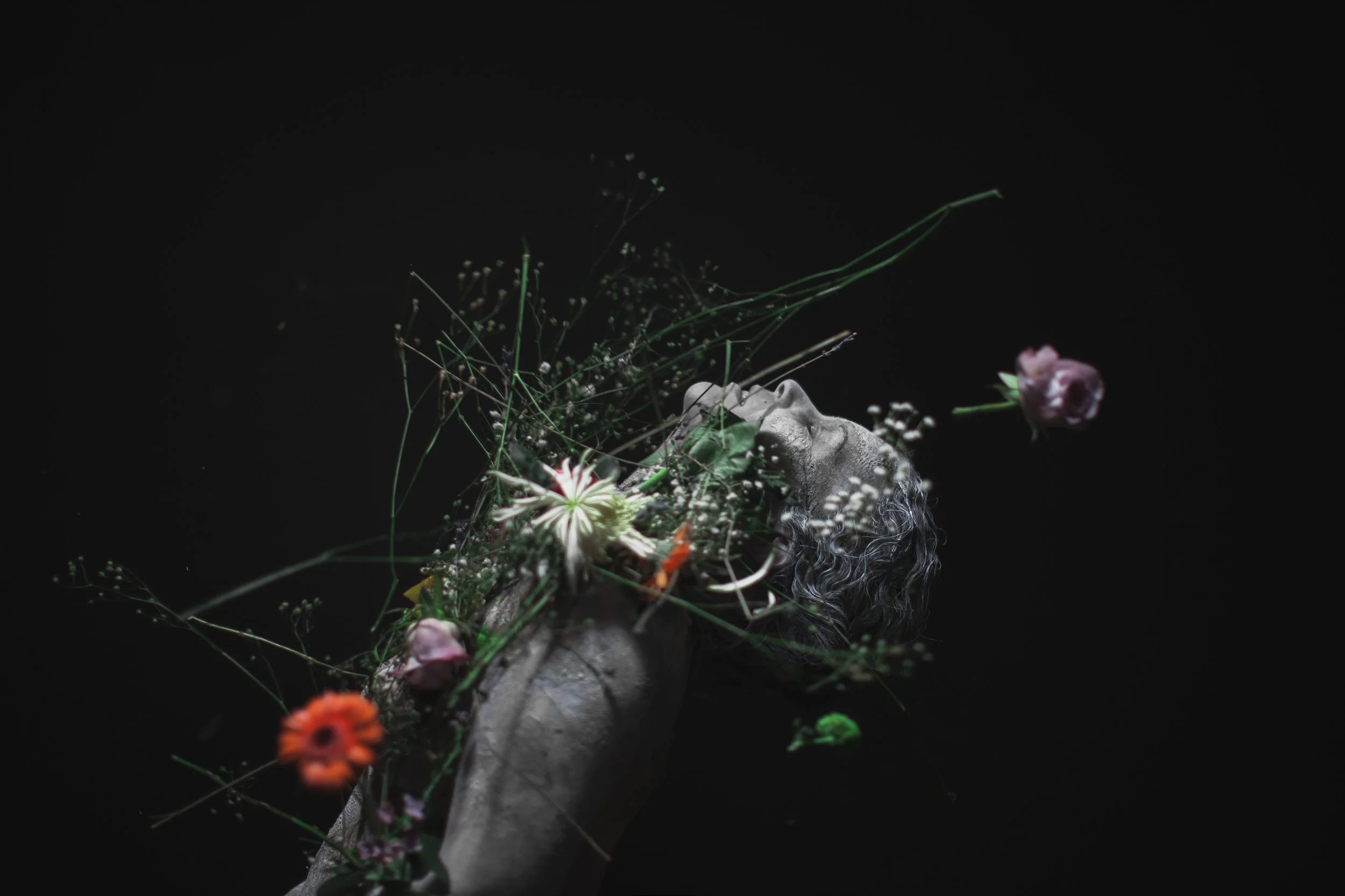 06_FLOWERFLY.jpg
