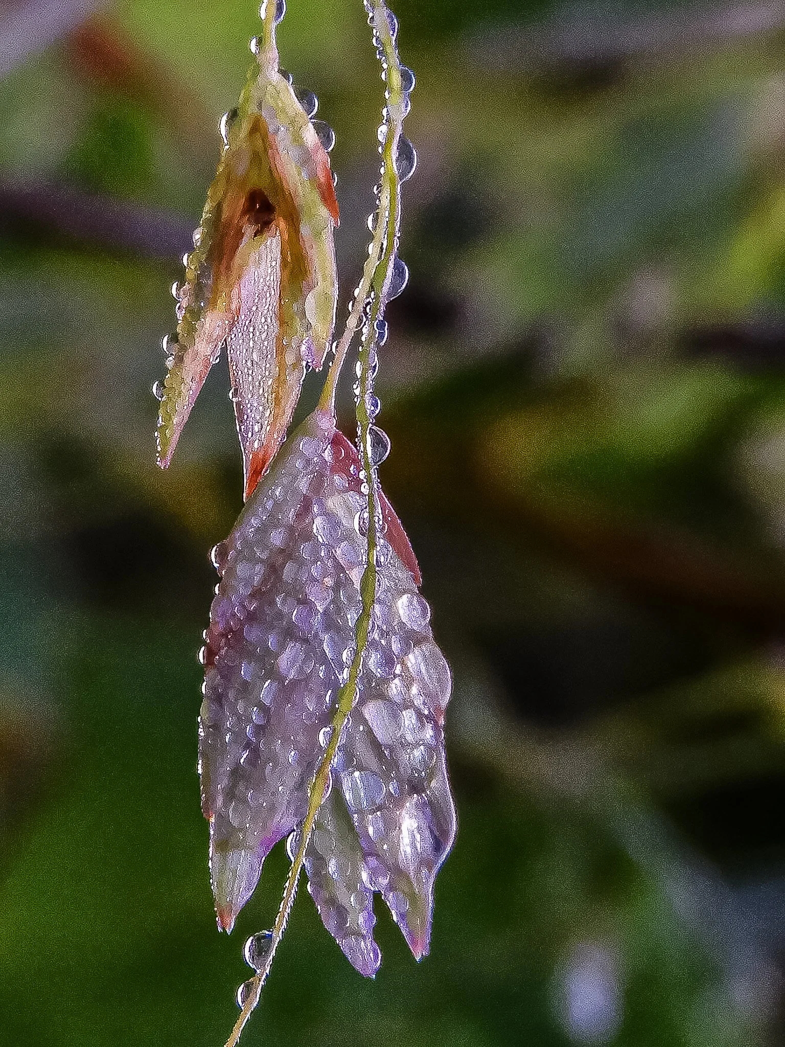 DSCN2241.jpg
