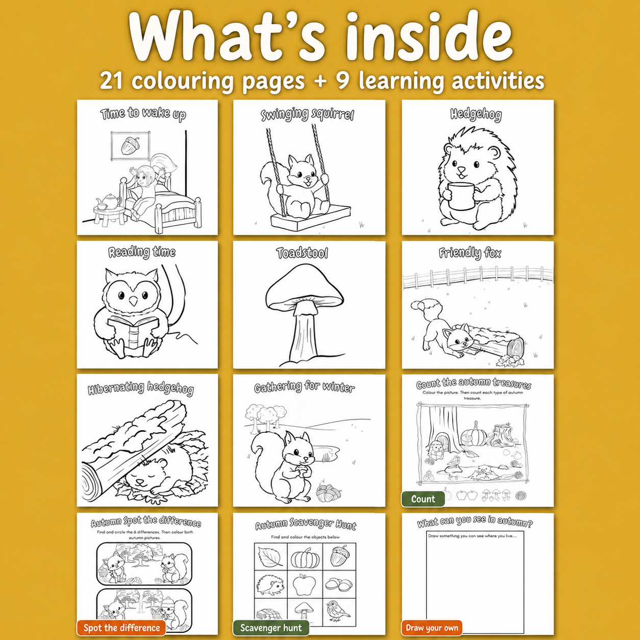 Whats inside grid.png