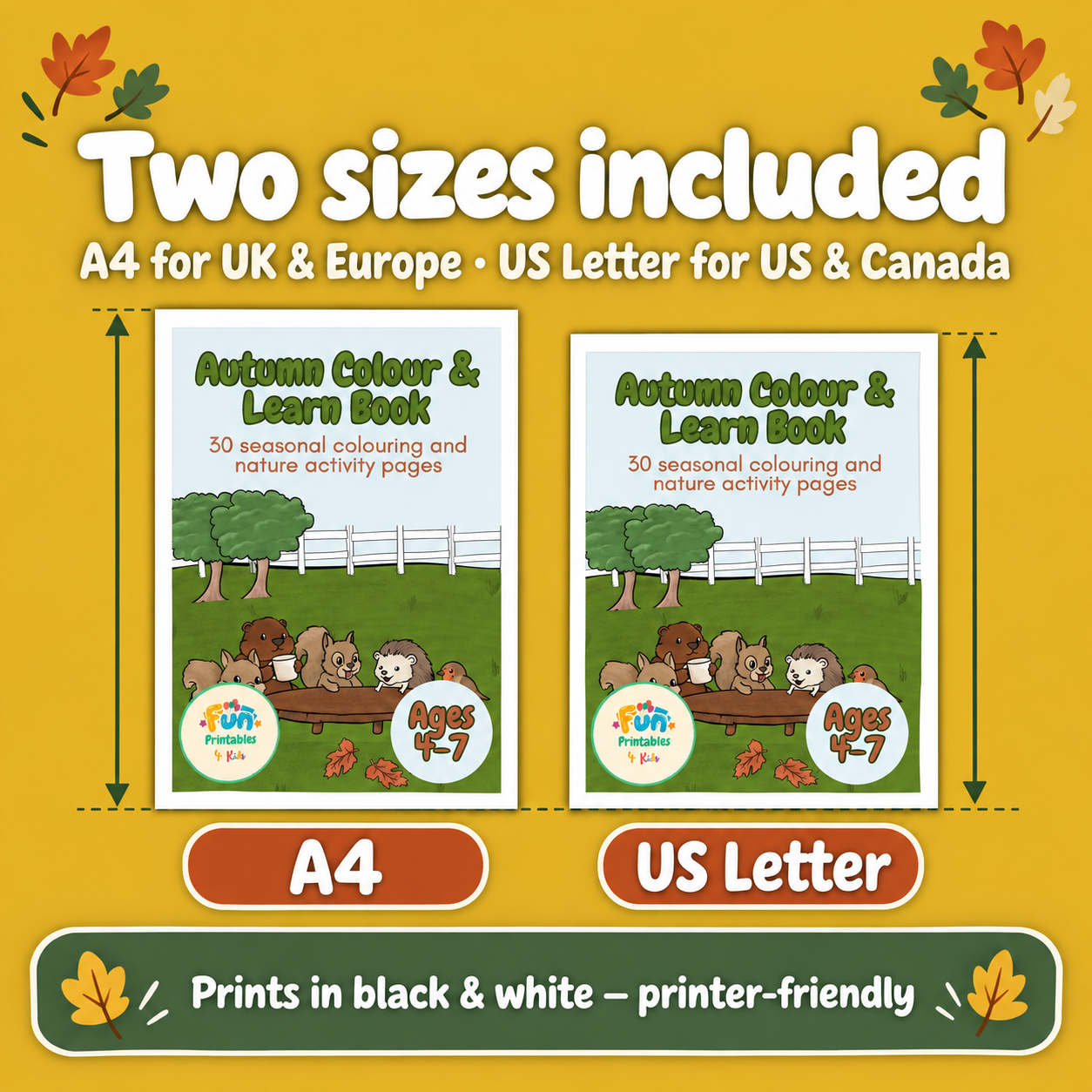 A4 and US letter image.png